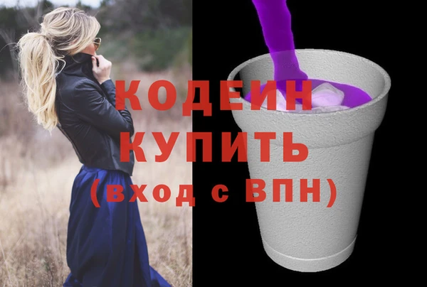 хмурый Арсеньев