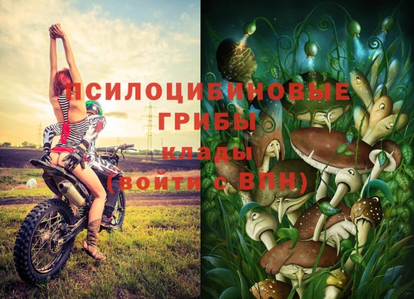 твердый Аркадак