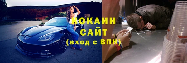 твердый Аркадак