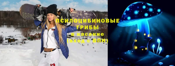 твердый Аркадак