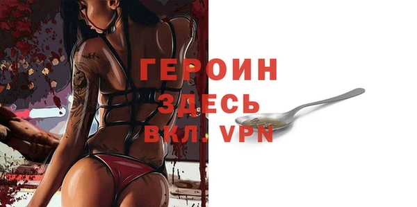 хмурый Арсеньев