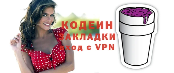 хмурый Арсеньев