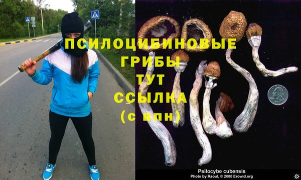 мет Армянск