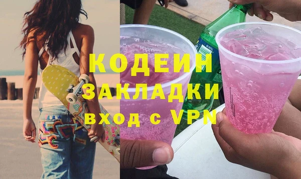 хмурый Арсеньев
