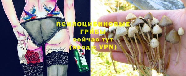 хмурый Арсеньев