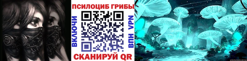 OMG зеркало Верея Псилоцибиновые грибы Cubensis